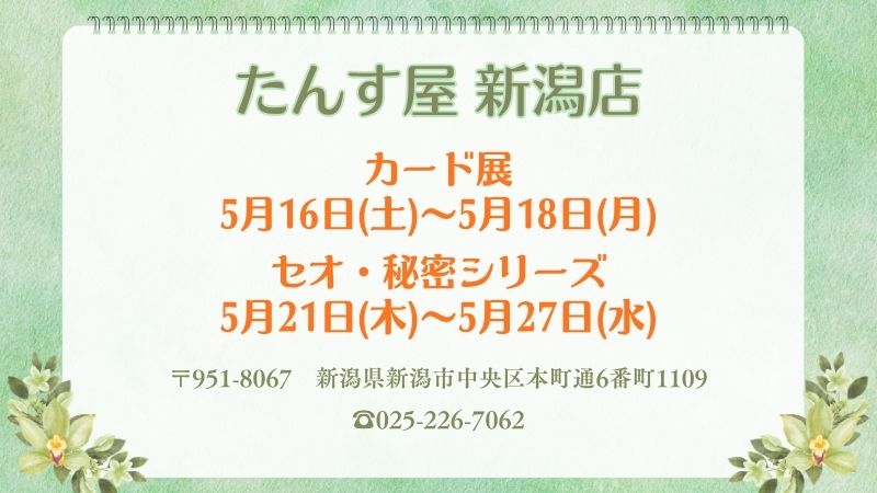 新潟店