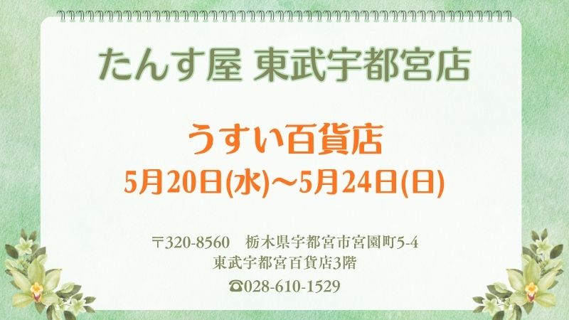 宇都宮店