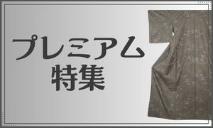 プレミアム特集